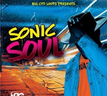 Big Citi Loops Sonic Soul 5 WAV